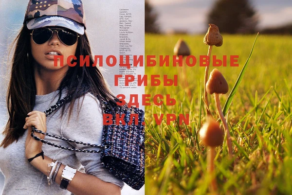 тгк Мегион