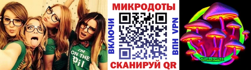 Псилоцибиновые грибы Cubensis Энгельс